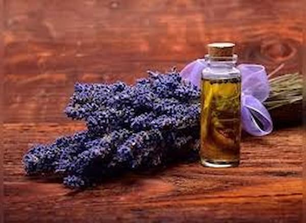 تصویر 4 از فروش عرق اسطوخودوس پامچال + قیمت خرید به صرفه